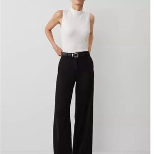 Ann Taylor Curvy Wide Leg Pants NWOT